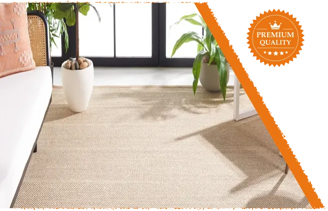 Beige woven sisal rug in sunlit room.